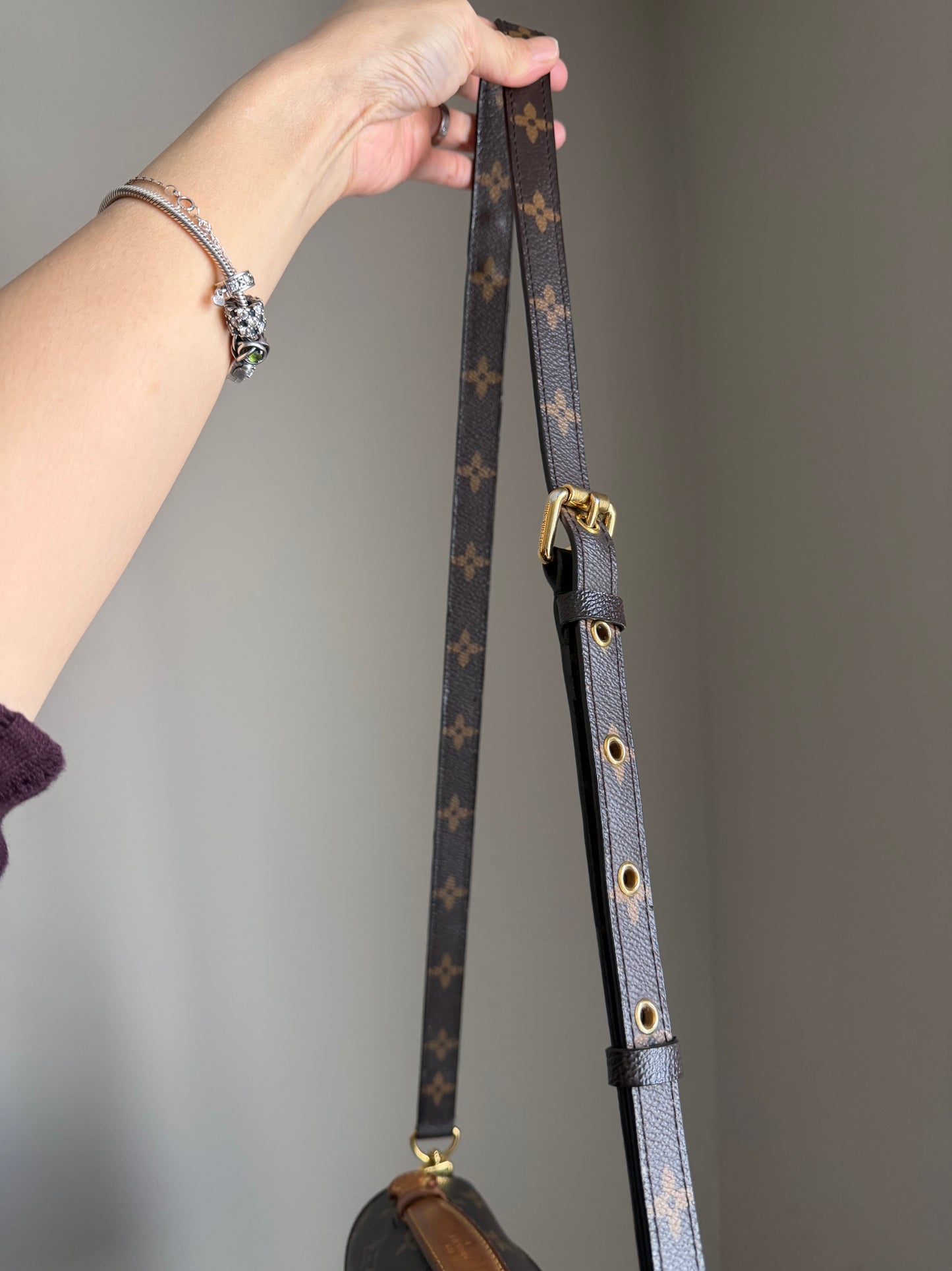 ❗️SOLD❗️Metis Pochette in Monogram