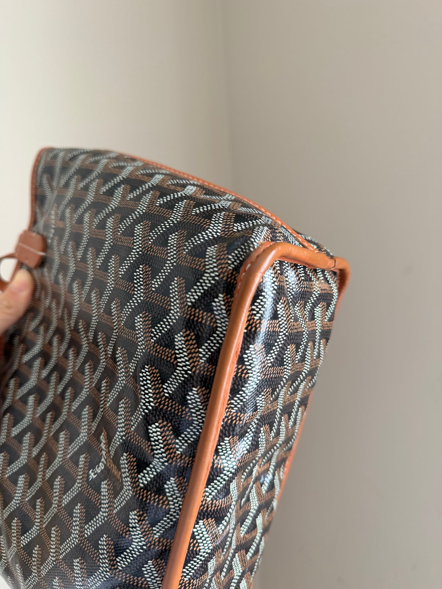 ❗️SOLD❗️ Mini Anjou brown
