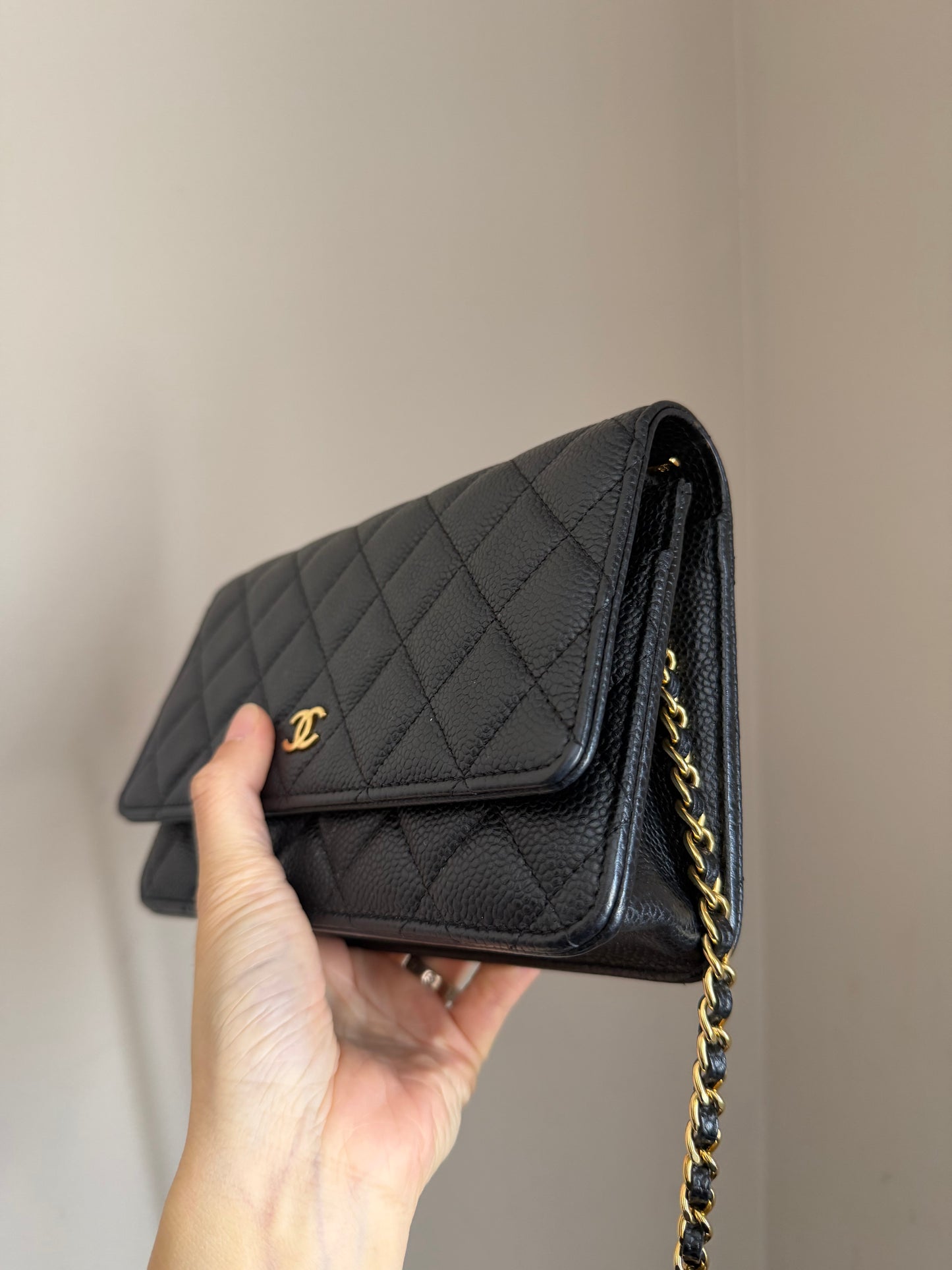 ❗️SOLD❗️Caviar Wallet on Chain in GHW (microchip)