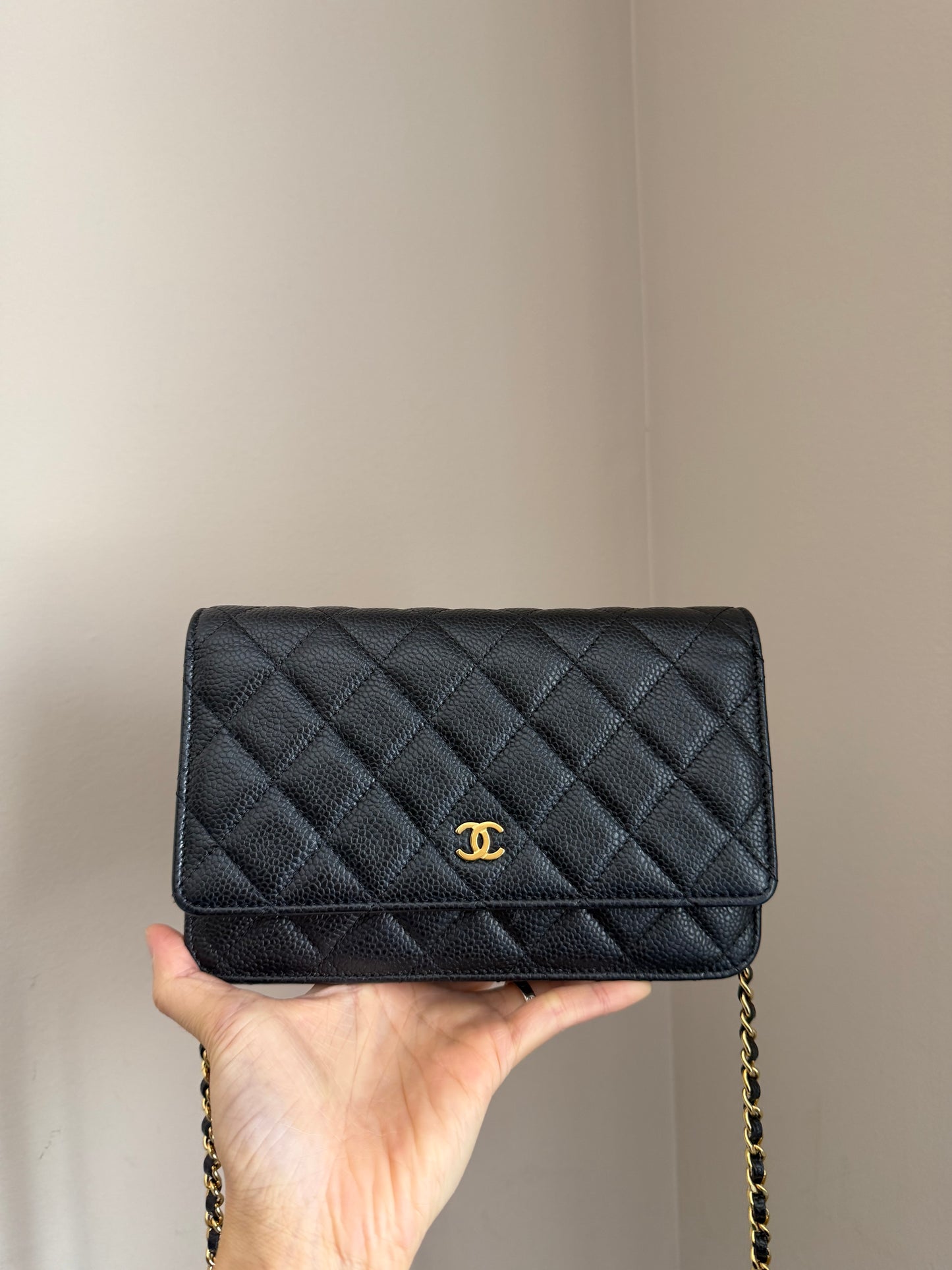 ❗️SOLD❗️Caviar Wallet on Chain in GHW (microchip)