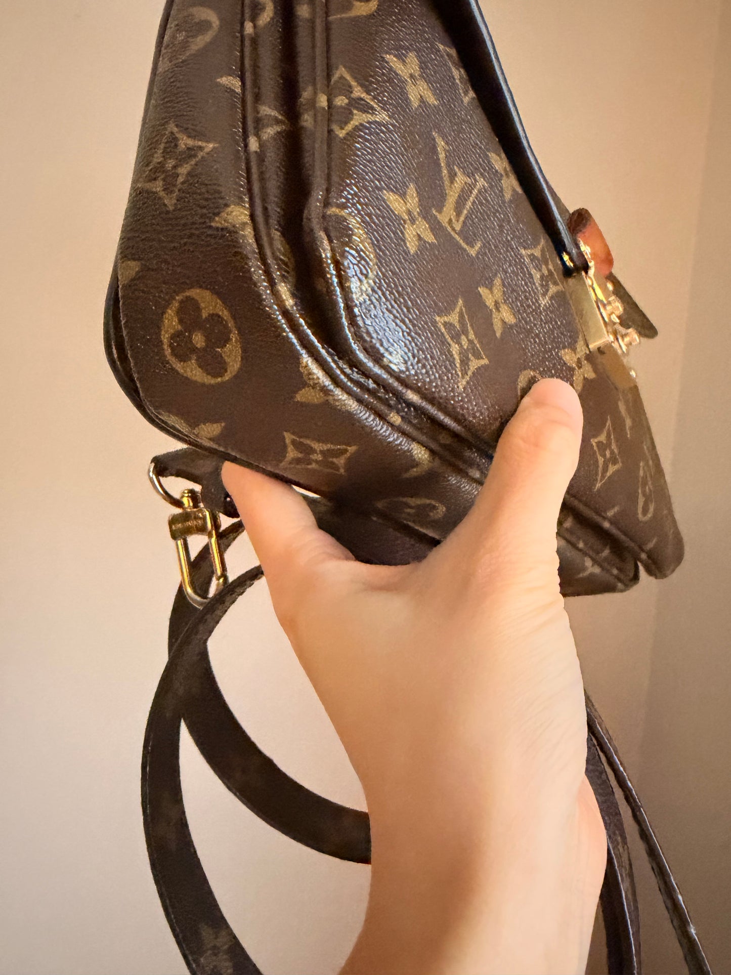 ❗️SOLD❗️Metis pochette in monogram