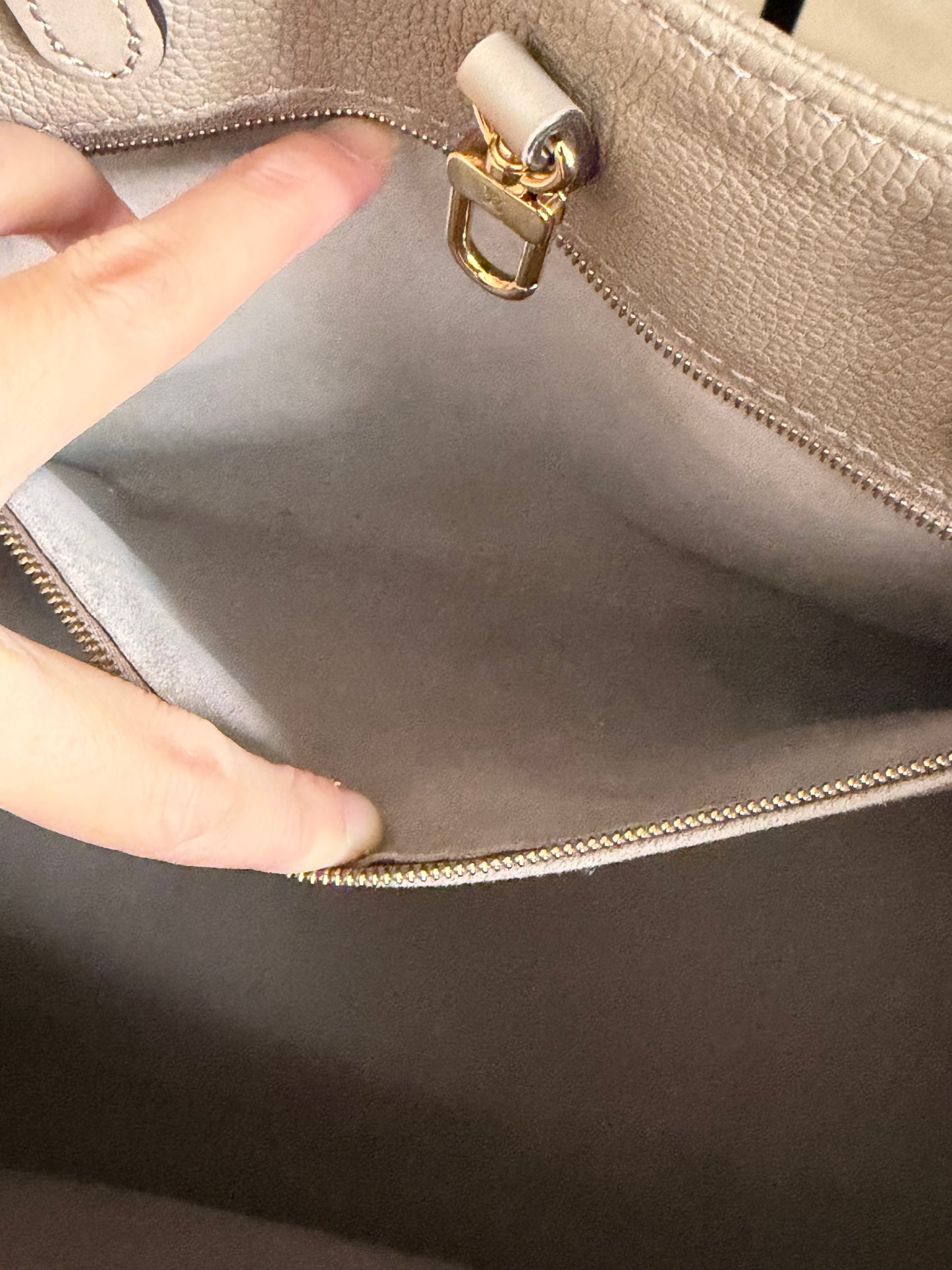 ❗️SOLD❗️On-The-Go MM turtledove (microchip)