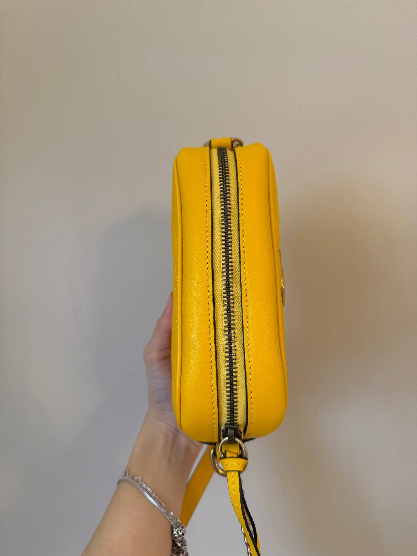 ❗️SOLD❗️Mini Camera Bag