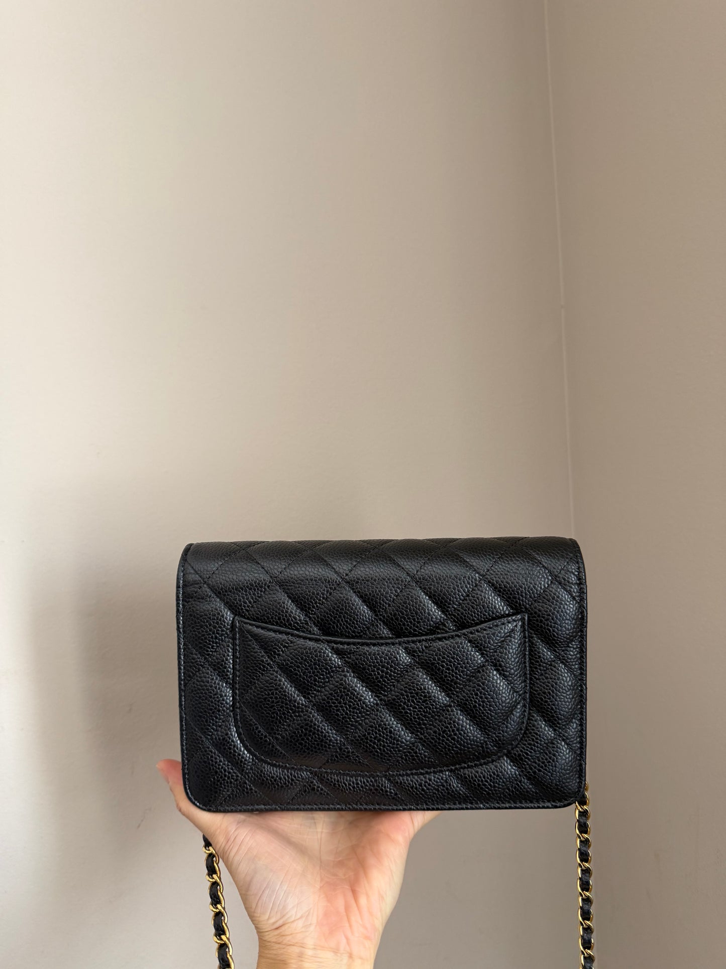 ❗️SOLD❗️Caviar Wallet on Chain in GHW (microchip)