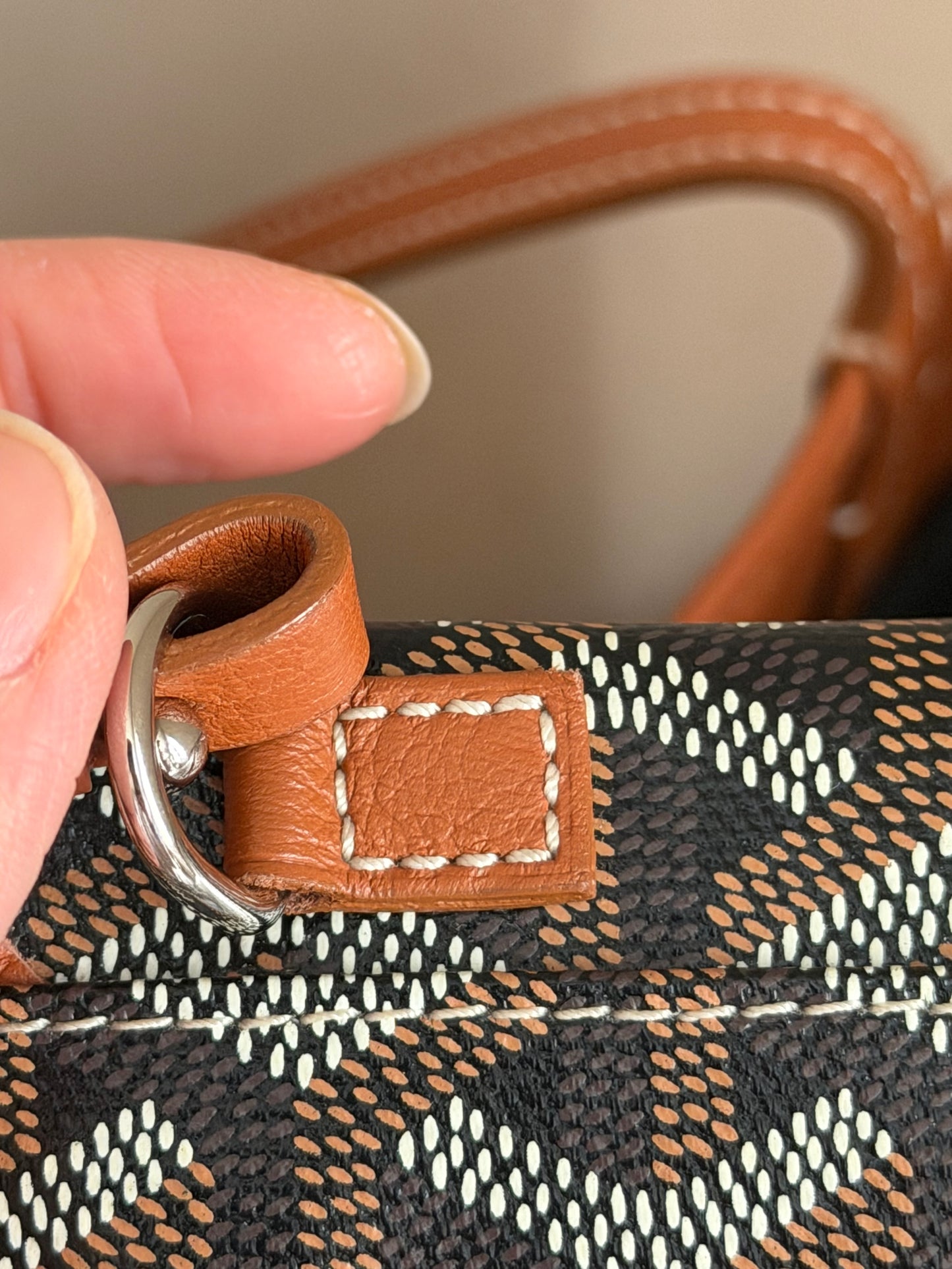 ❗️SOLD❗️ Mini Anjou brown