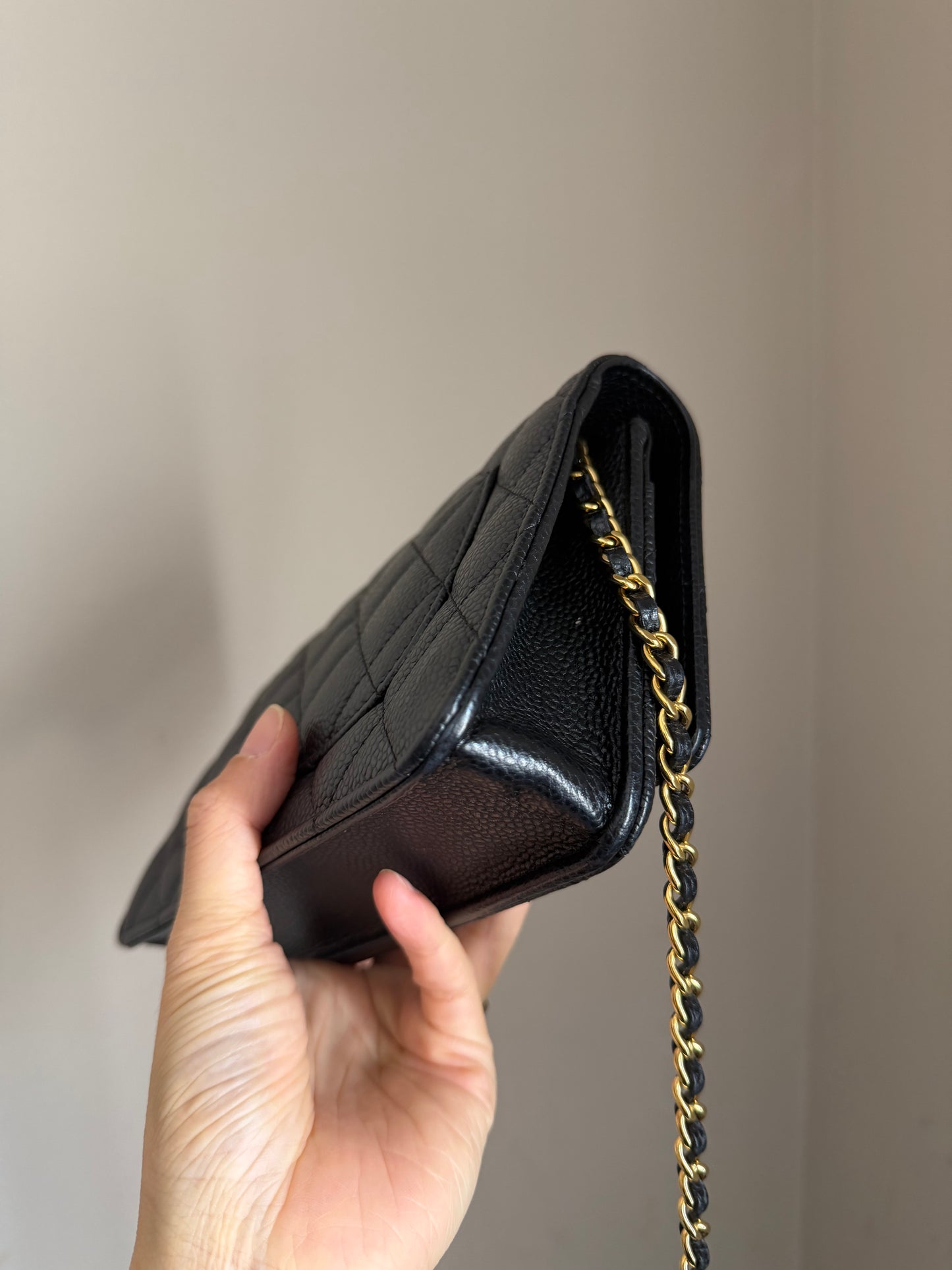 ❗️SOLD❗️Caviar Wallet on Chain in GHW (microchip)