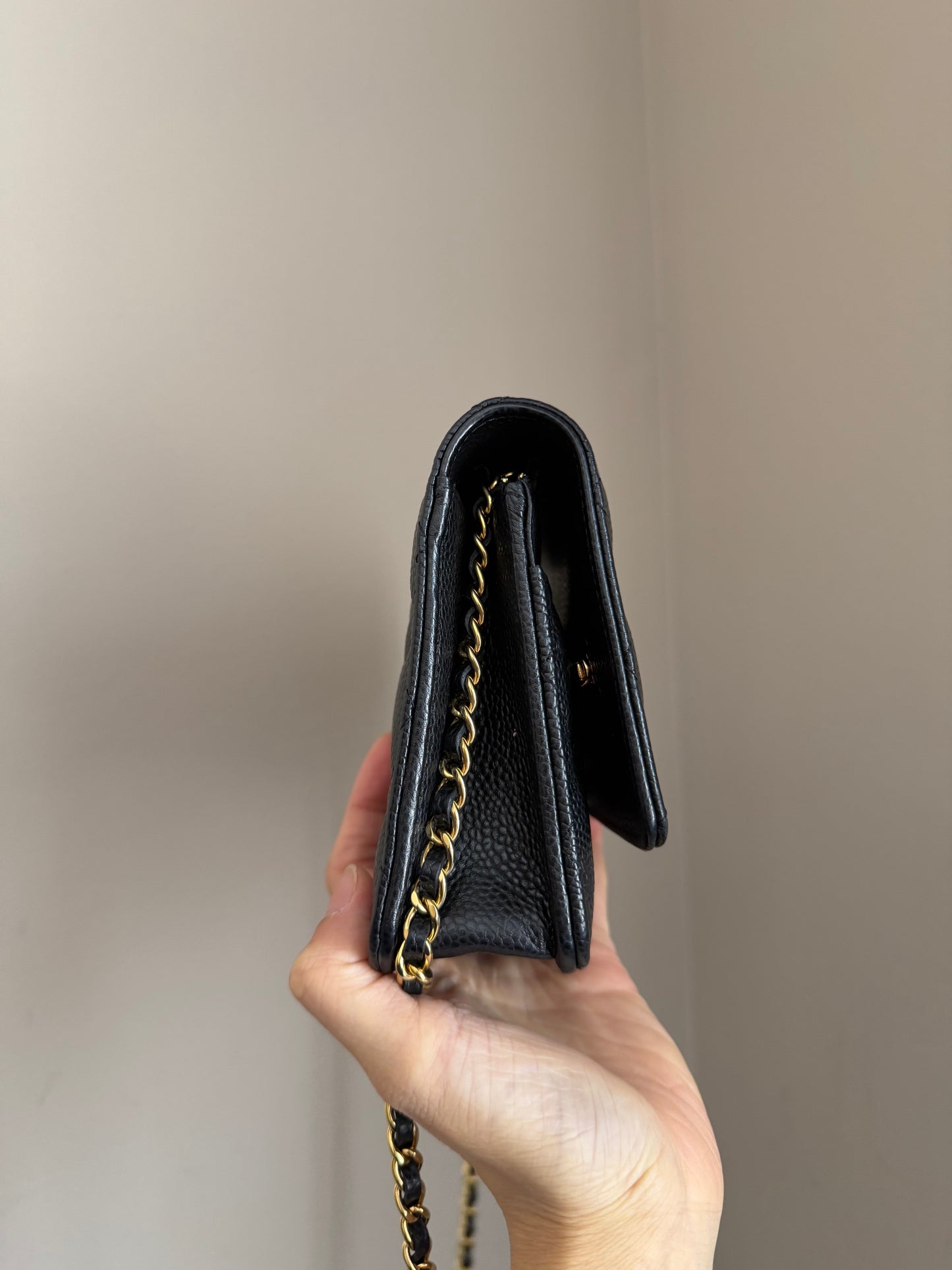 ❗️SOLD❗️Caviar Wallet on Chain in GHW (microchip)
