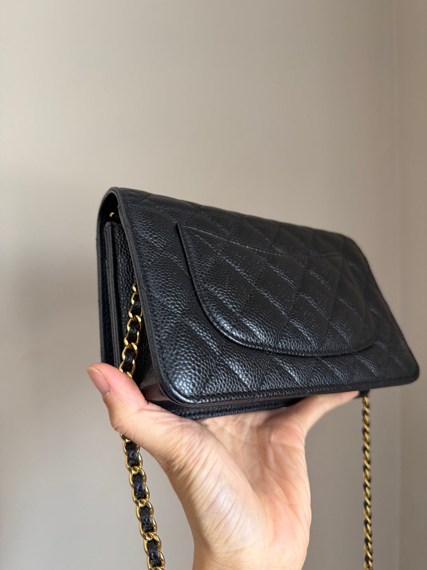 ❗️SOLD❗️Caviar Wallet on Chain in GHW (microchip)