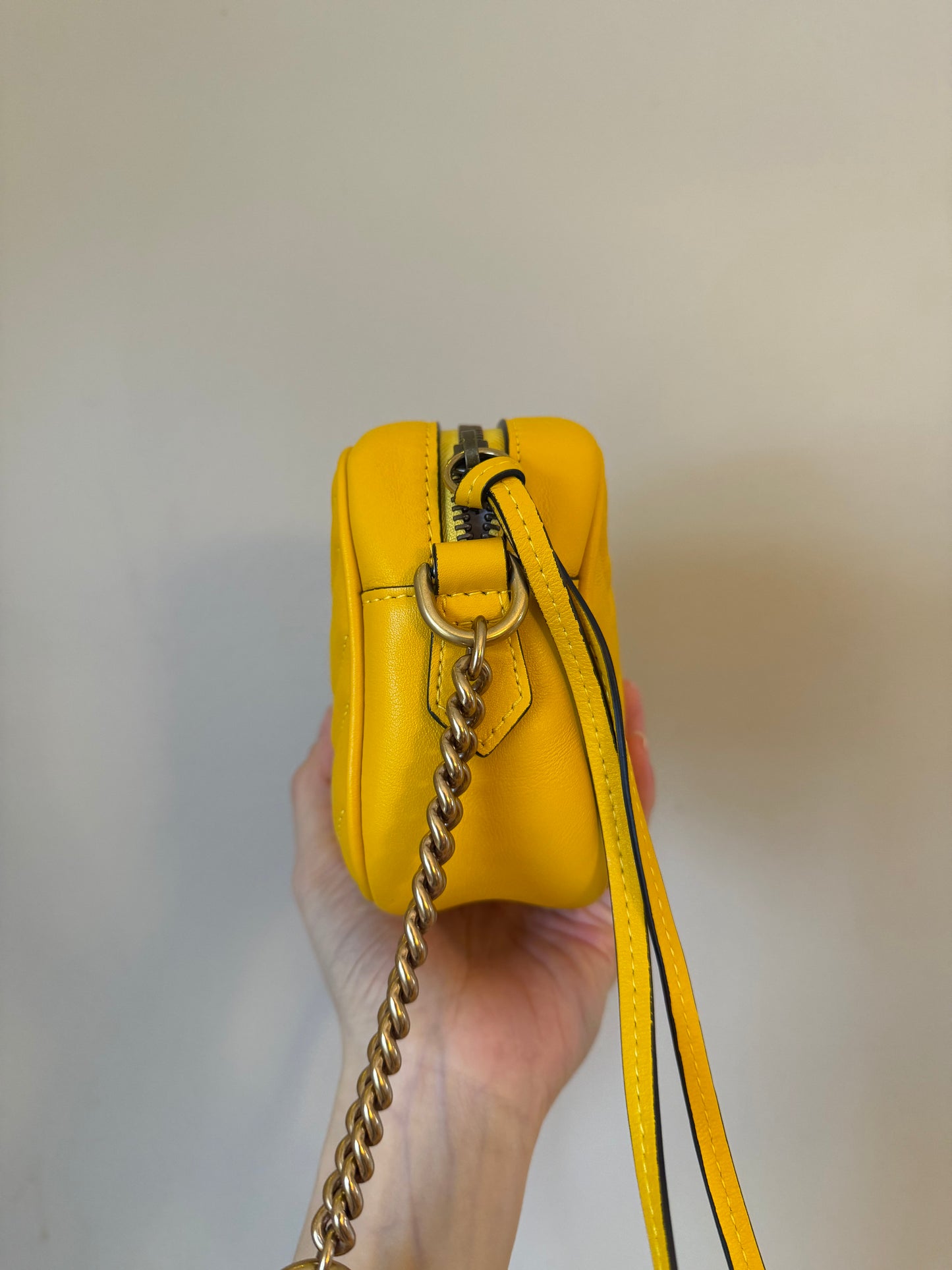 ❗️SOLD❗️Mini Camera Bag