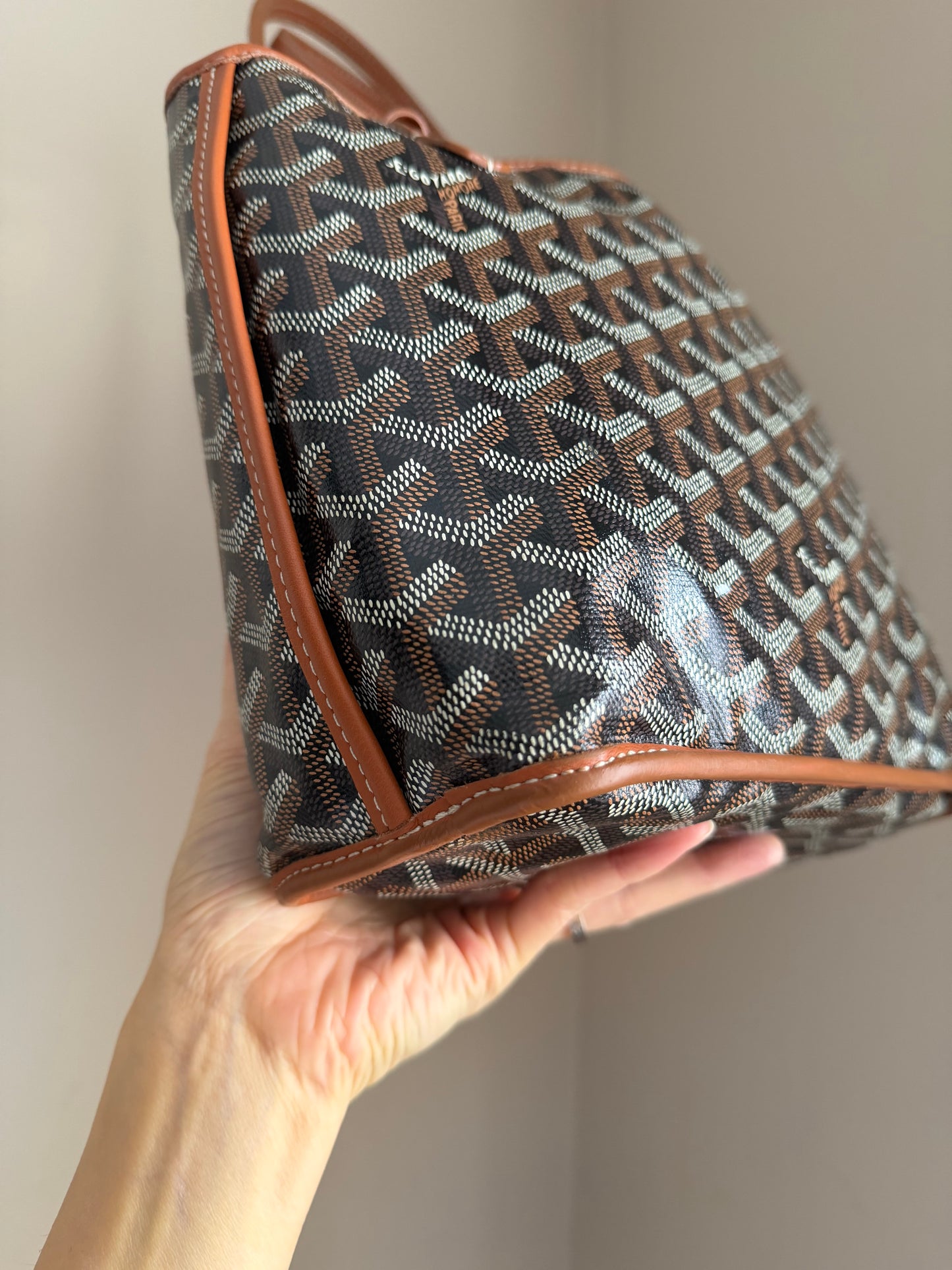 ❗️SOLD❗️ Mini Anjou brown