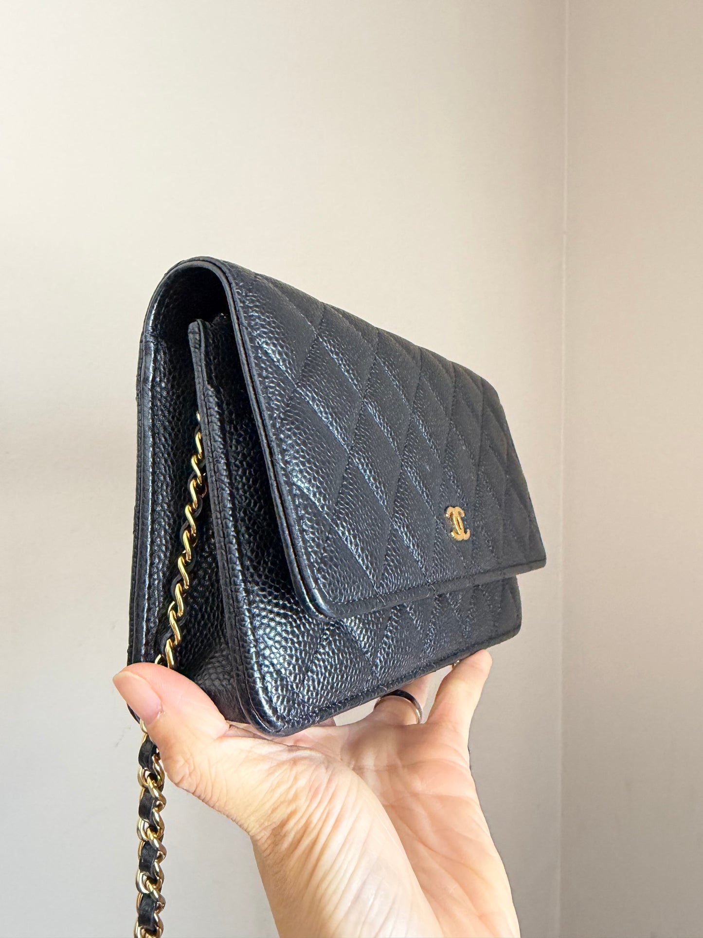 ❗️SOLD❗️Caviar Wallet on Chain in GHW (microchip)