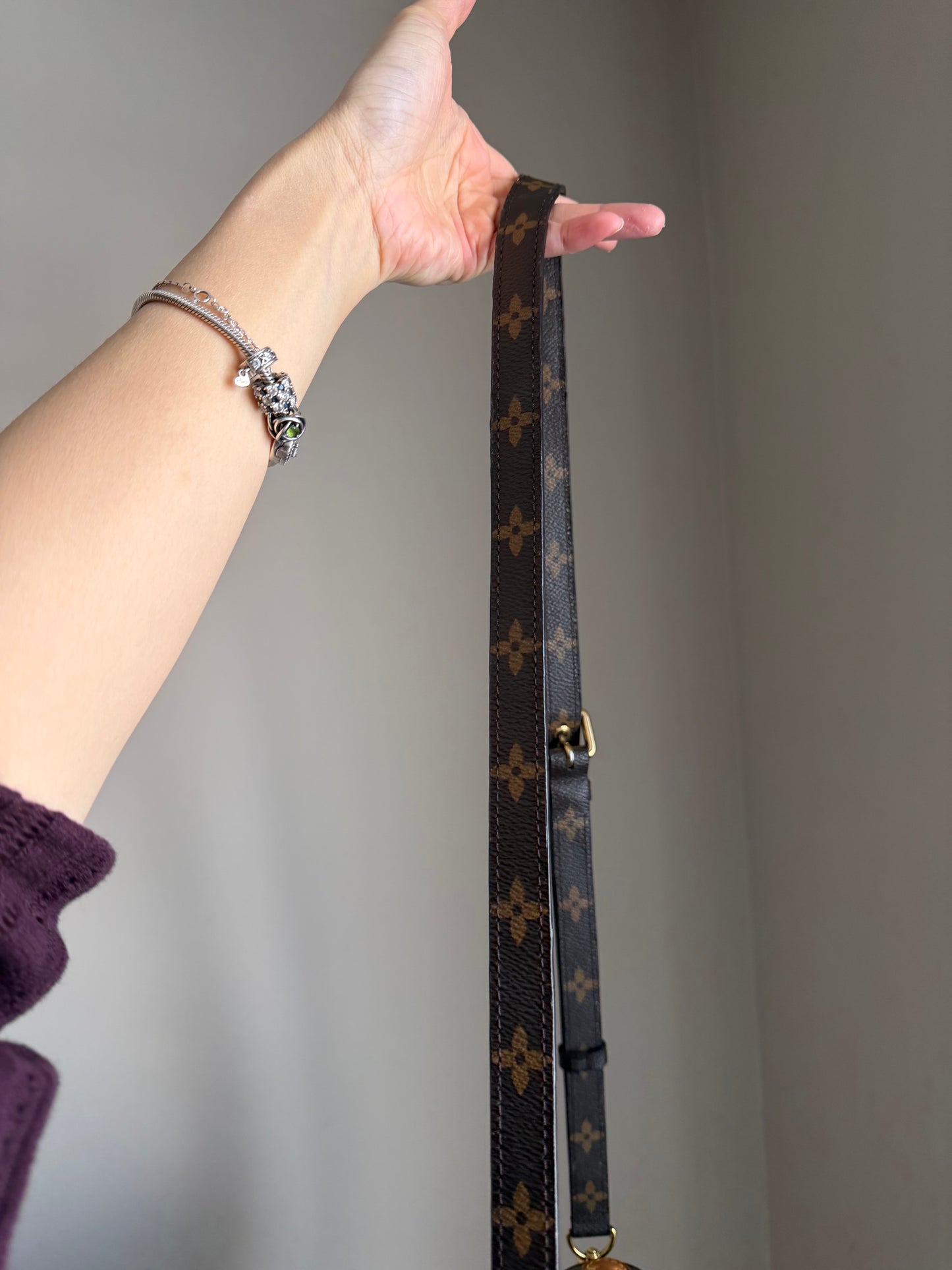 ❗️SOLD❗️Metis Pochette in Monogram