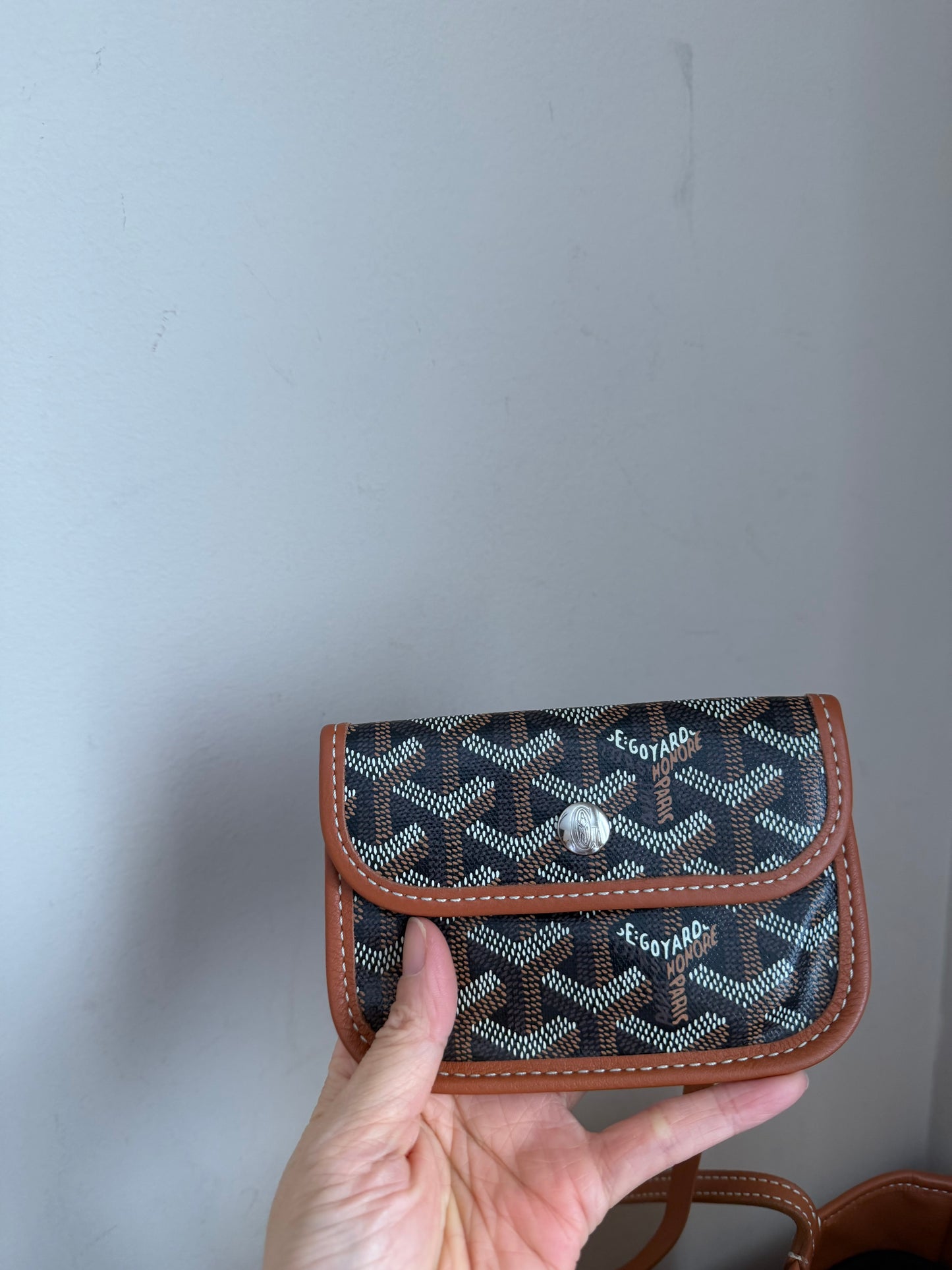 ❗️SOLD❗️ Mini Anjou brown