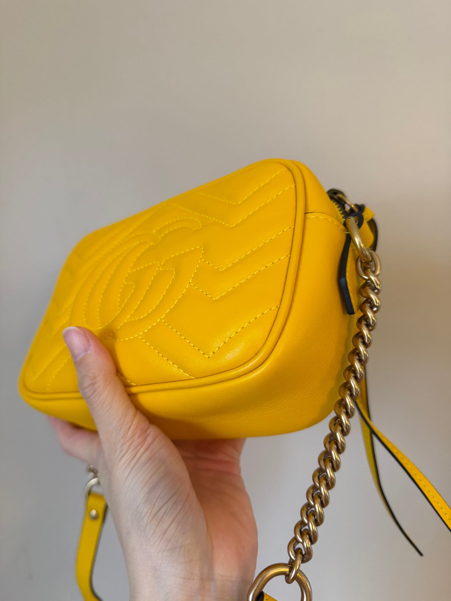 ❗️SOLD❗️Mini Camera Bag