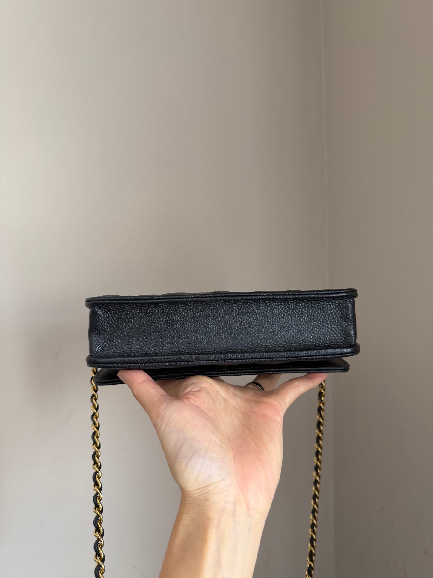 ❗️SOLD❗️Caviar Wallet on Chain in GHW (microchip)