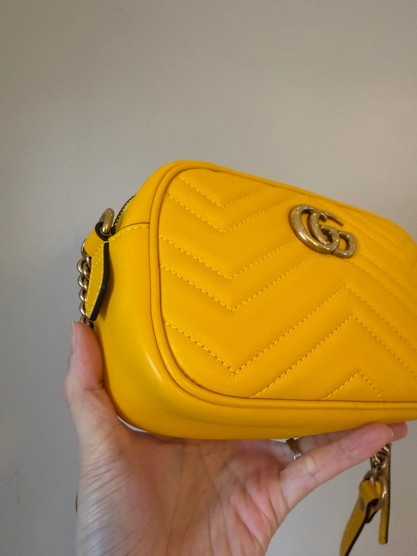 ❗️SOLD❗️Mini Camera Bag
