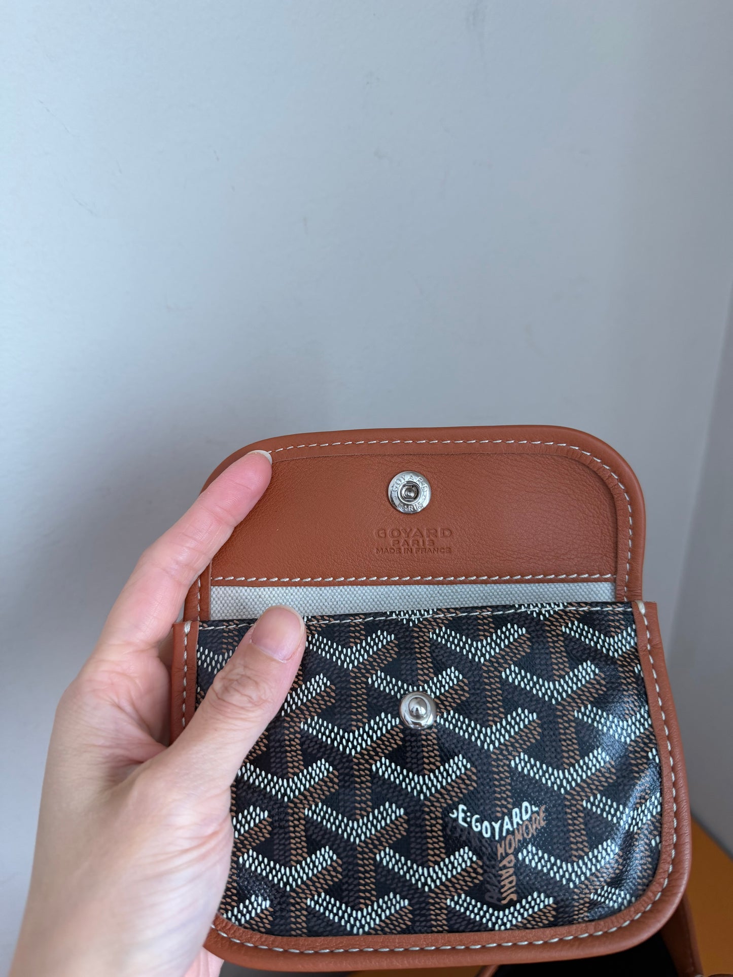 ❗️SOLD❗️ Mini Anjou brown