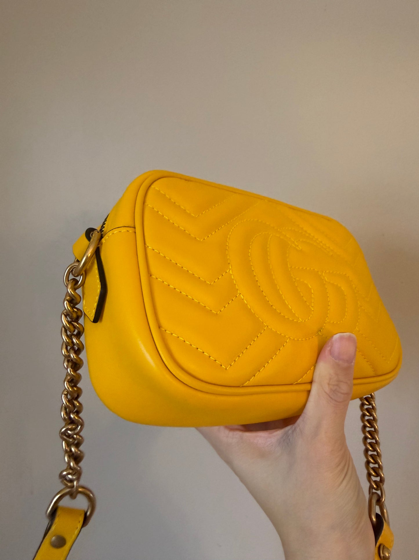 ❗️SOLD❗️Mini Camera Bag