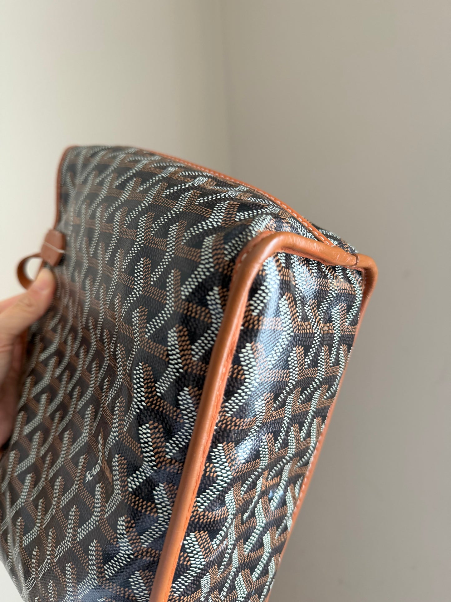 ❗️SOLD❗️ Mini Anjou brown