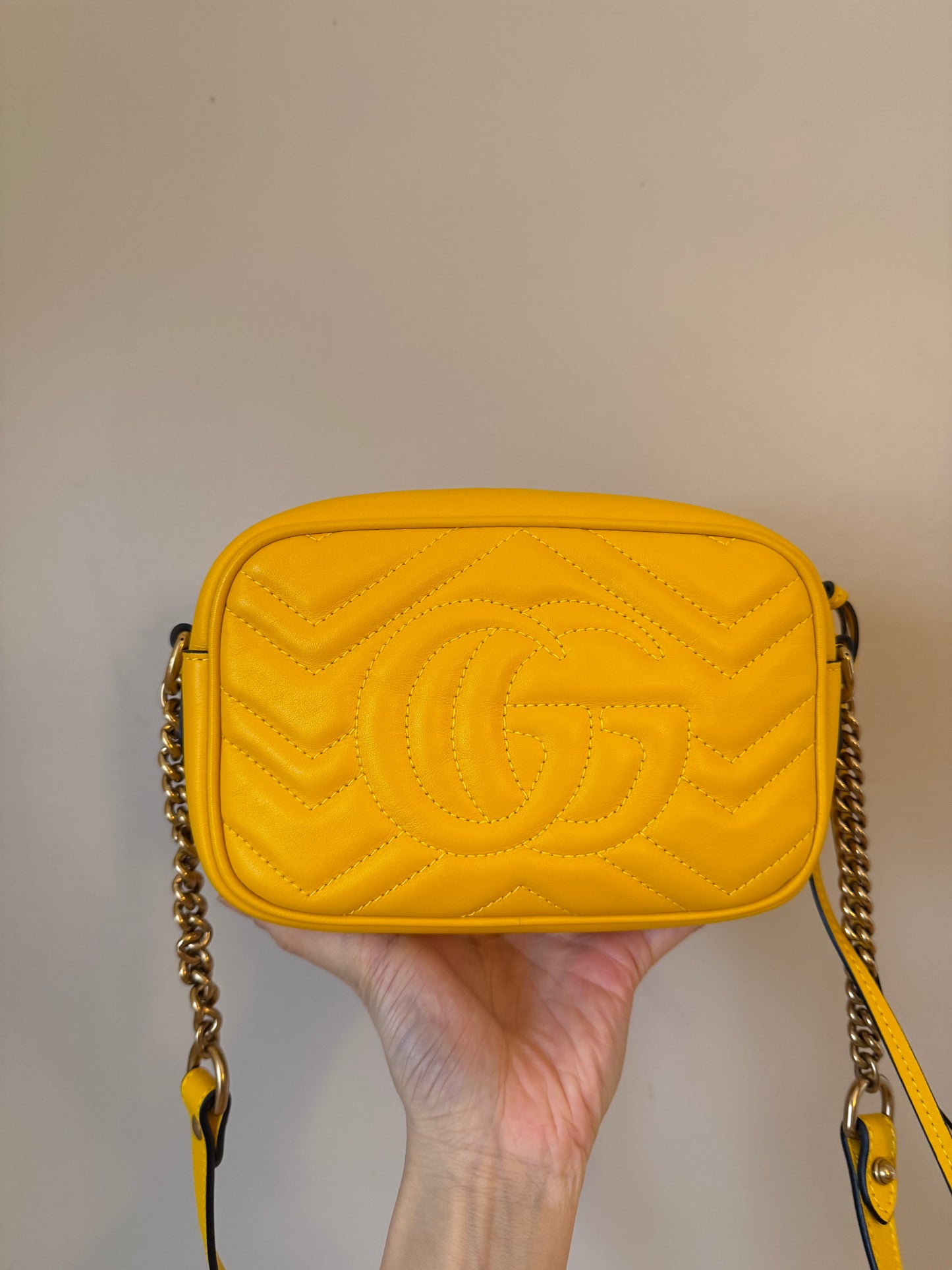 ❗️SOLD❗️Mini Camera Bag