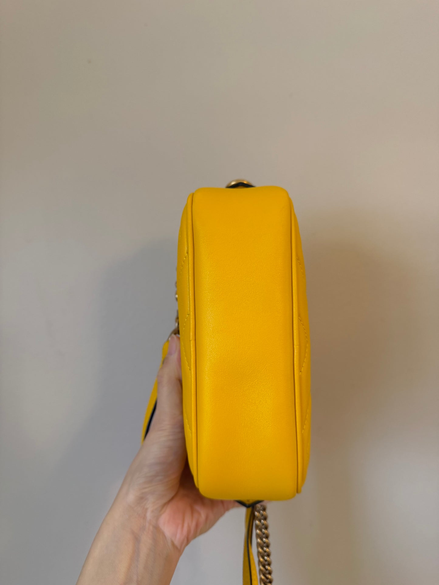 ❗️SOLD❗️Mini Camera Bag