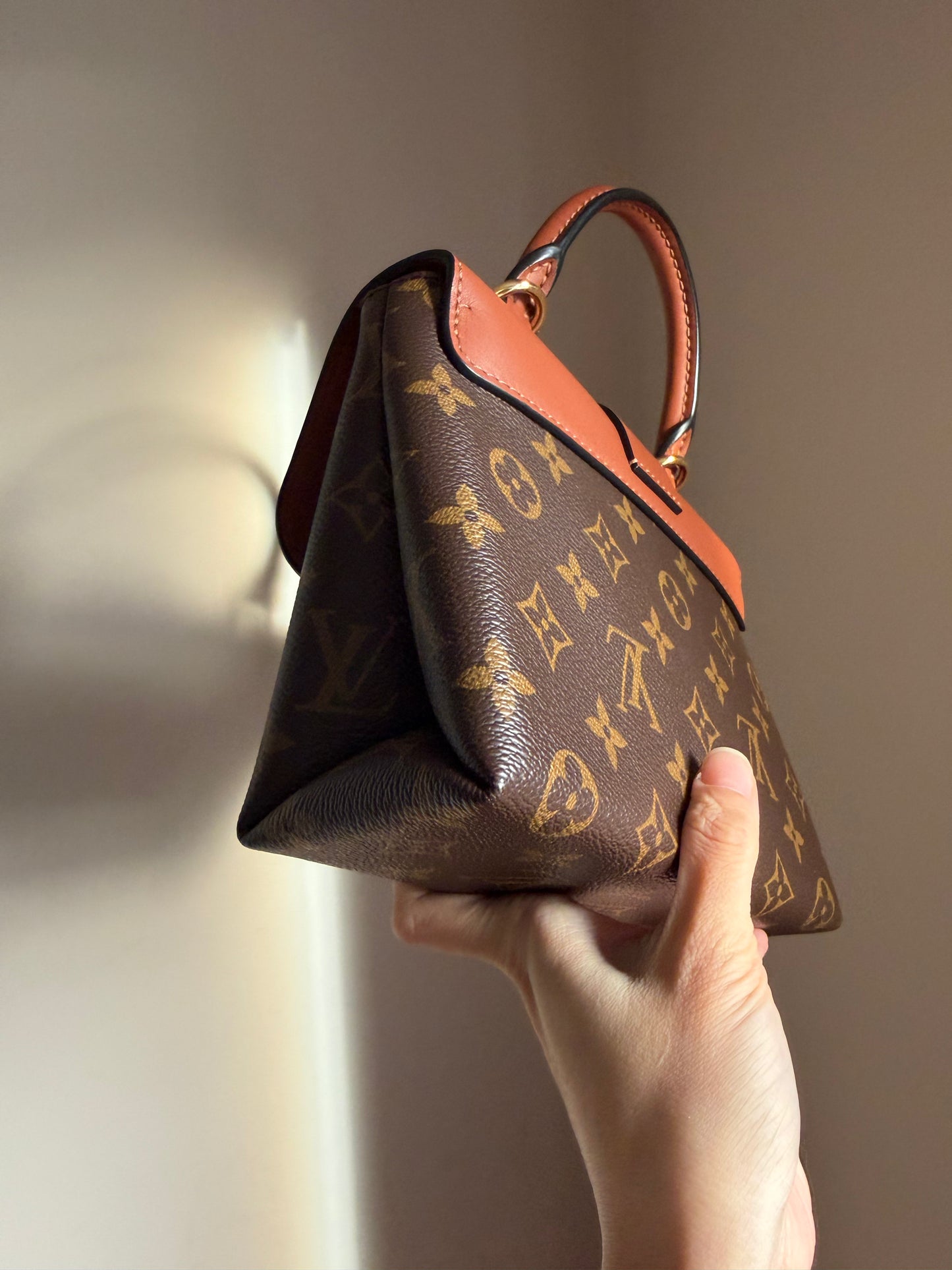 ❗️SOLD❗️ Brown Locky BB Crossbody Bag