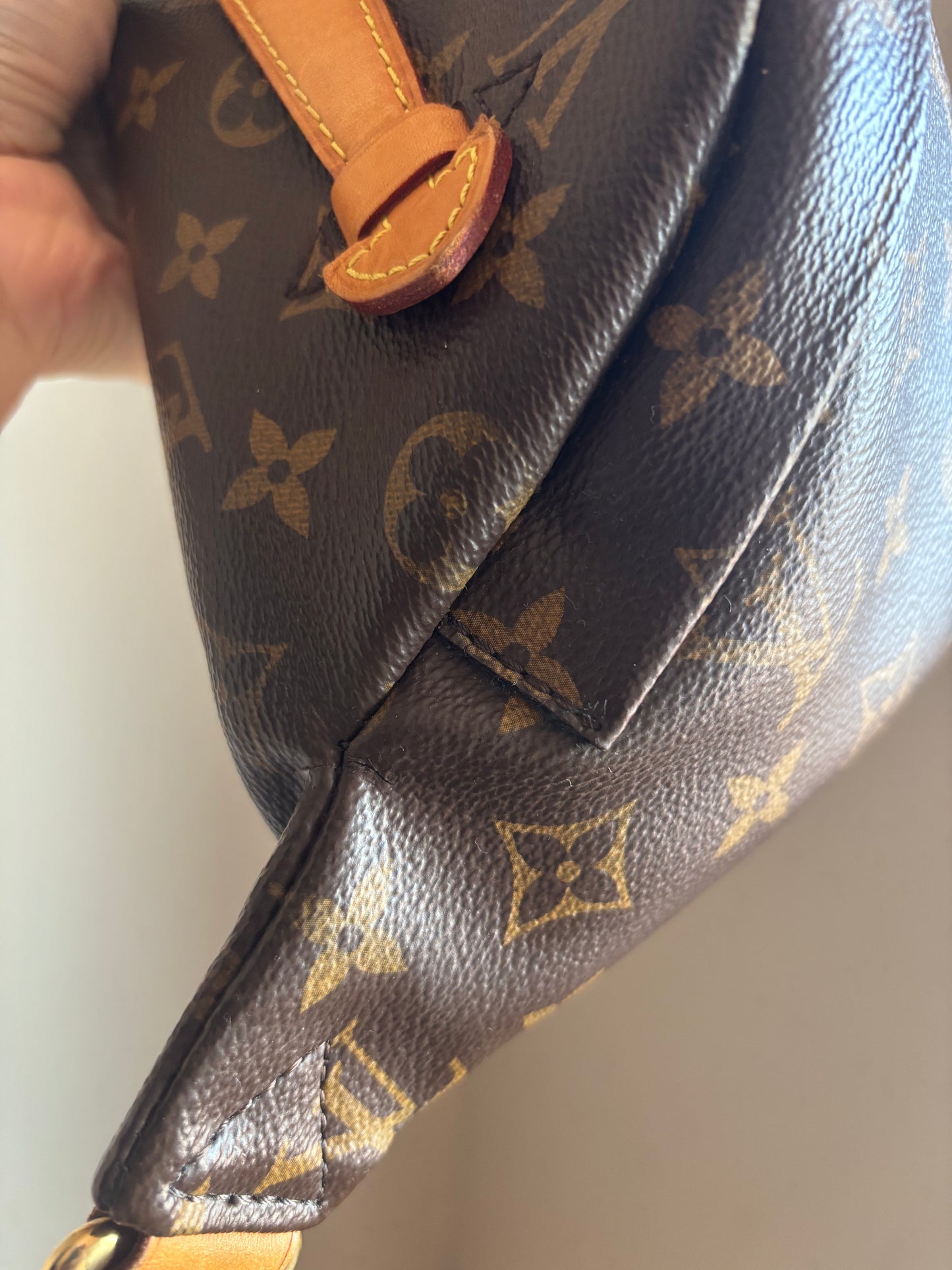 ❗️SOLD❗️ Monogram Bumbag