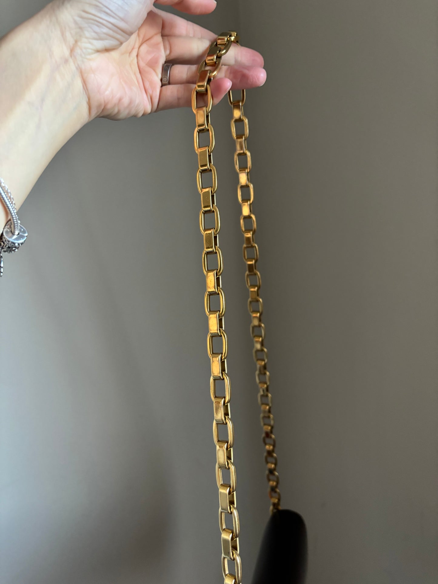 ❗️SOLD❗️ Amarante Vernis Chain Louise GM Bag