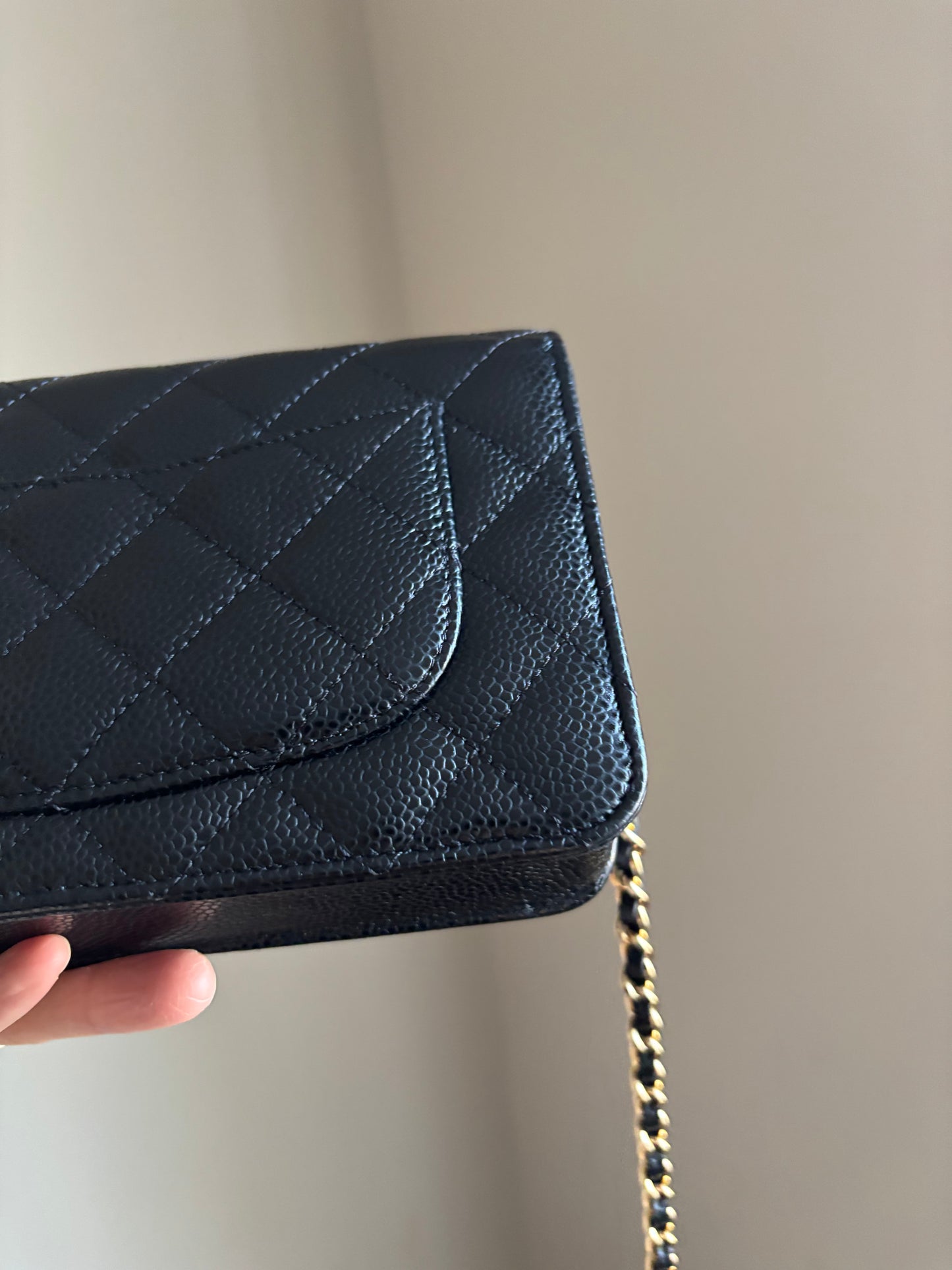 ❗️SOLD❗️ Caviar Wallet On Chain series 29
