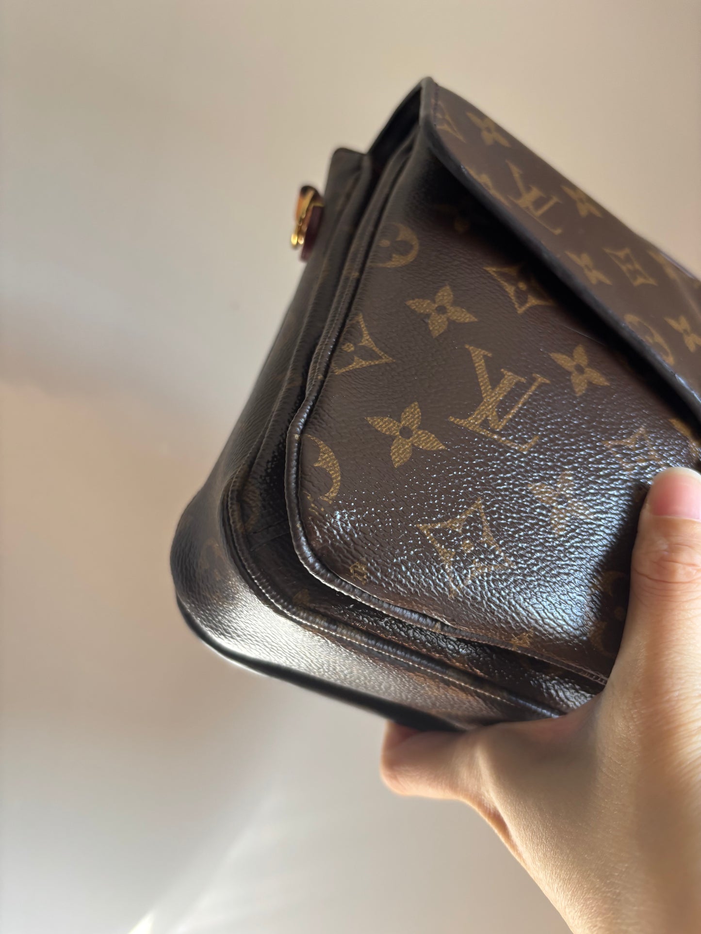 ❗️SOLD❗️ Metis Pochette in Monogram