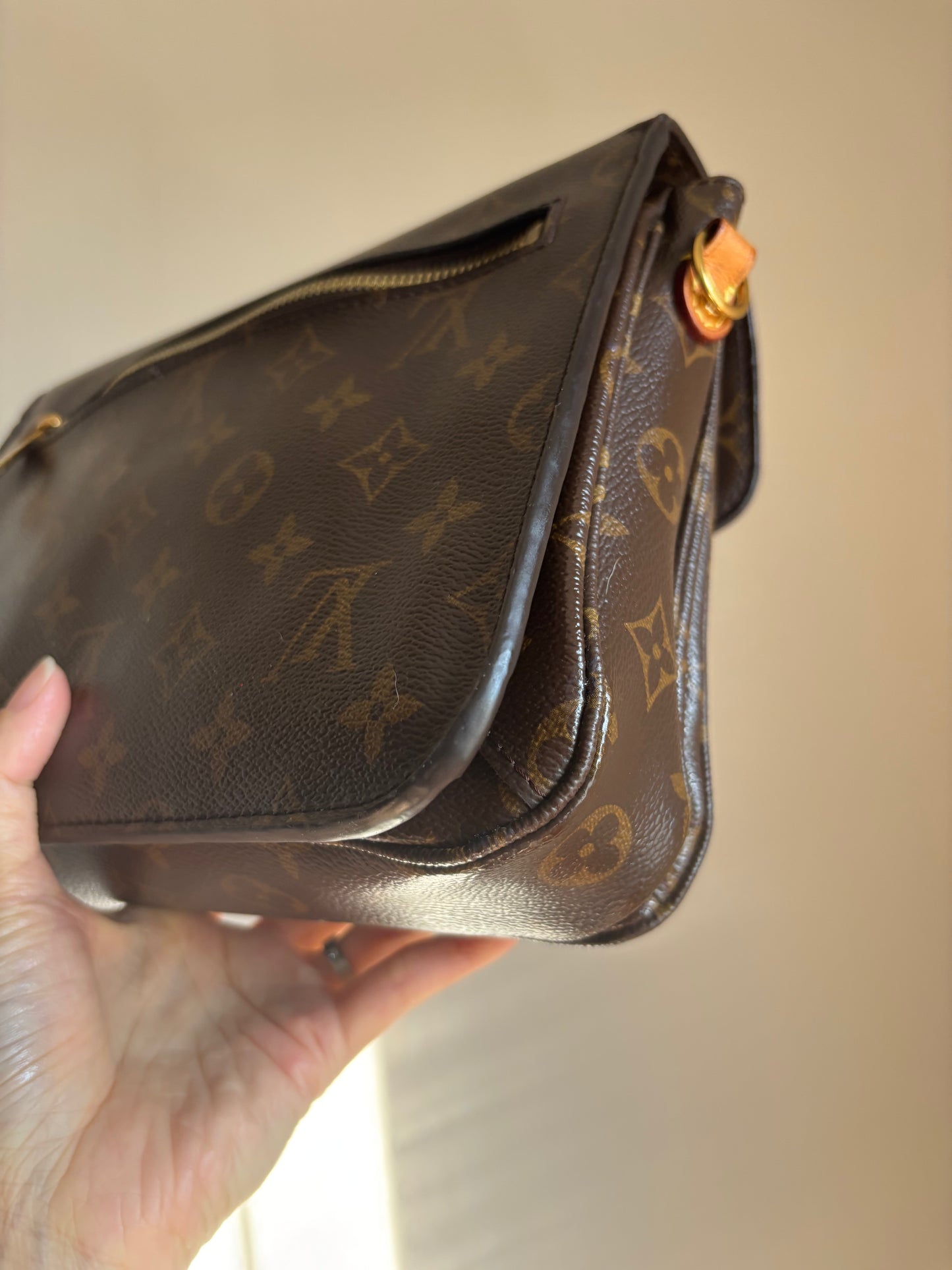 ❗️SOLD❗️ Metis Pochette in Monogram