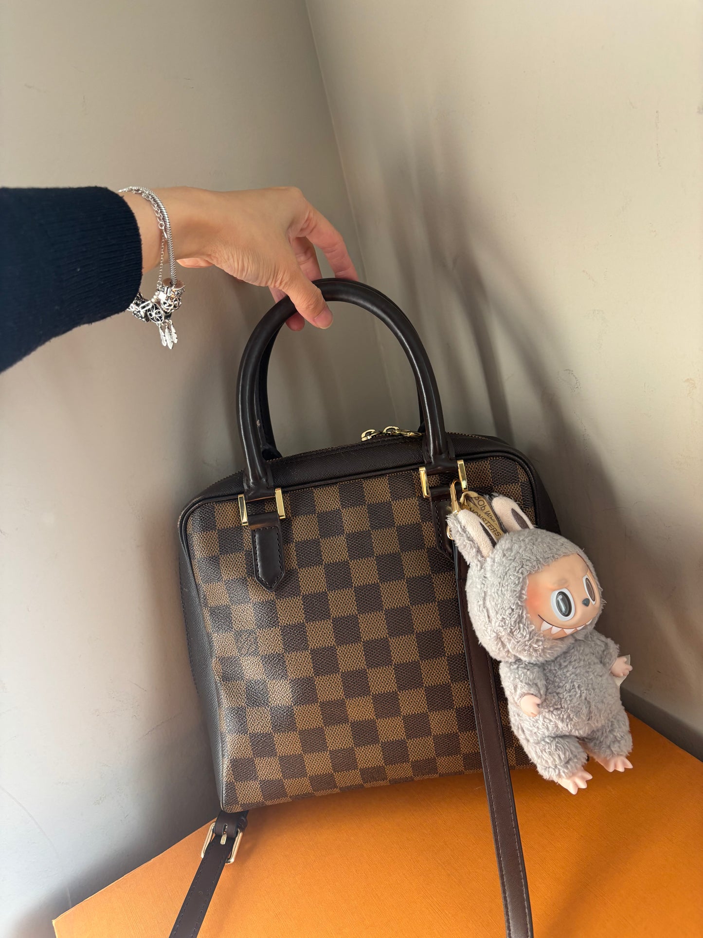 ❗️SOLD❗️Brera Bag in DE with generic strap