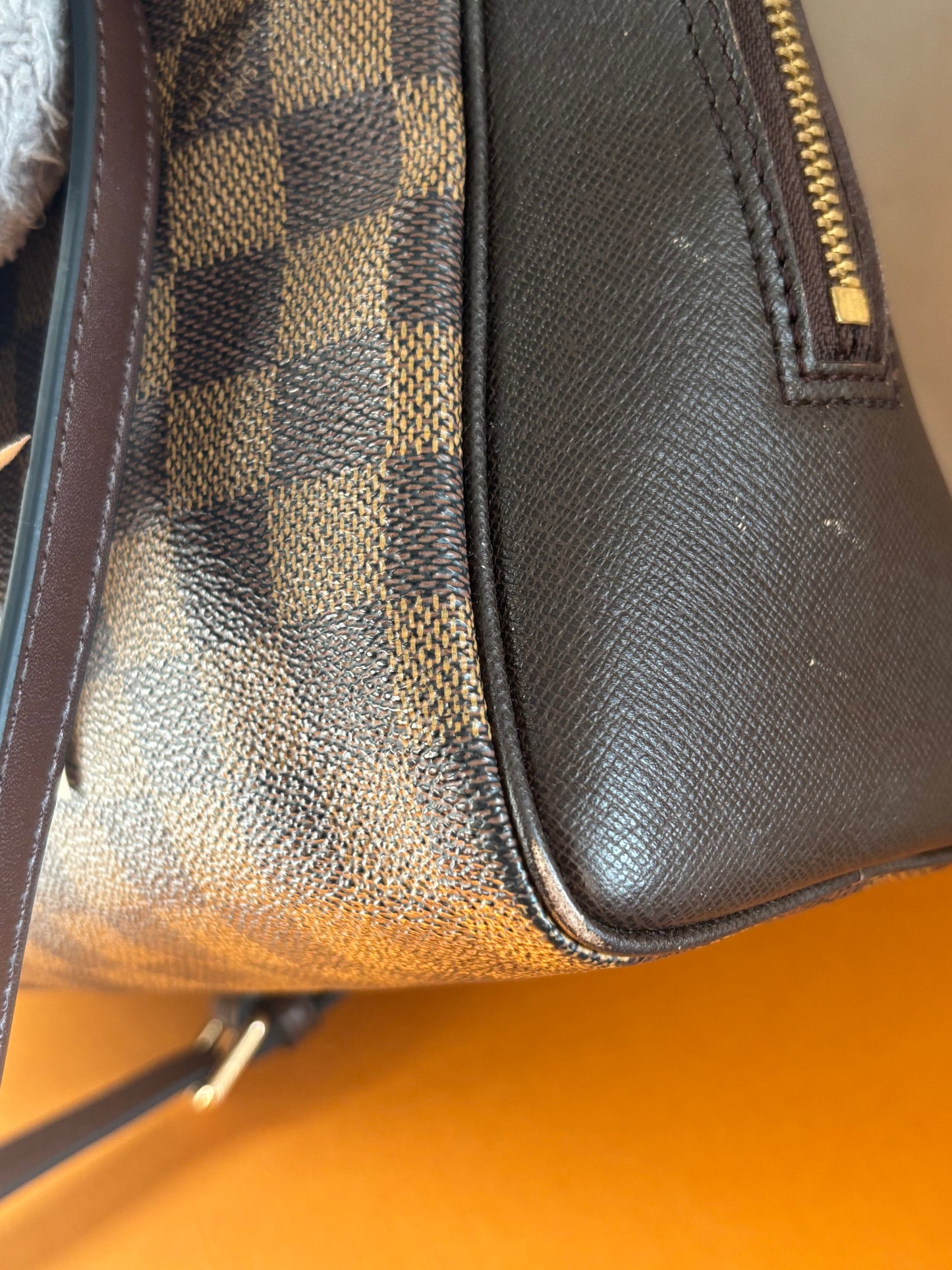 ❗️SOLD❗️Brera Bag in DE with generic strap