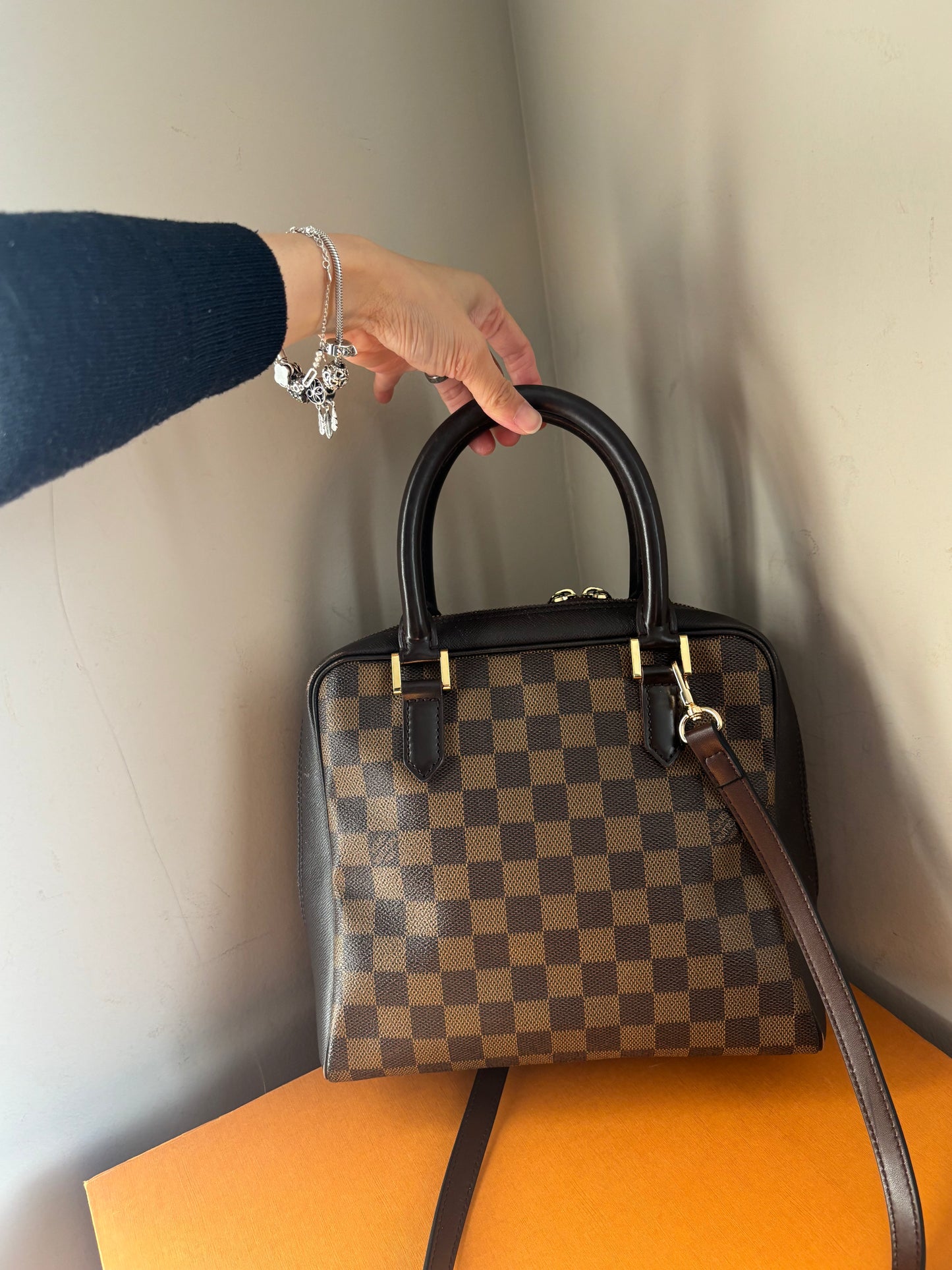❗️SOLD❗️Brera Bag in DE with generic strap